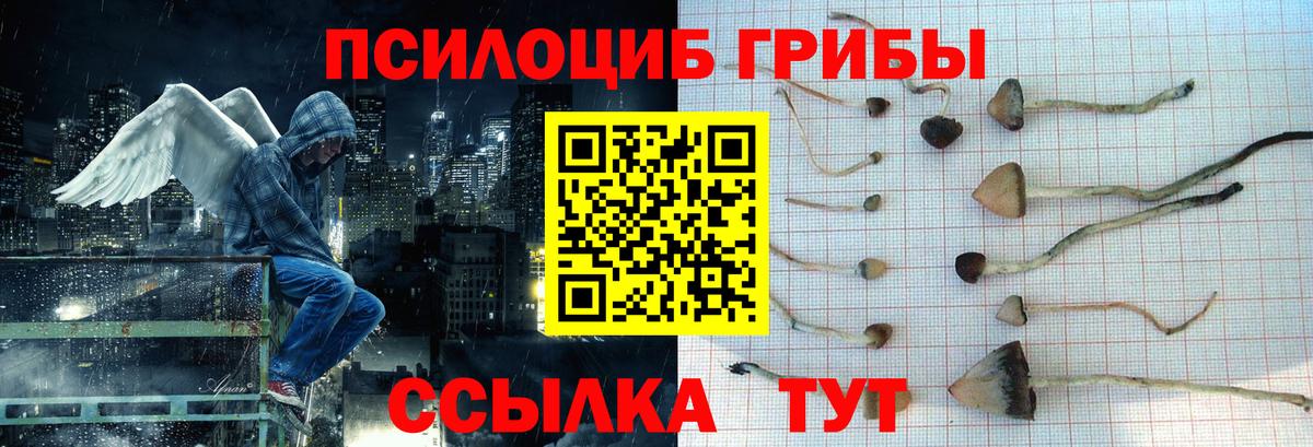 Псилоцибиновые грибы Magic Shrooms  Вход с VPN  Александров 